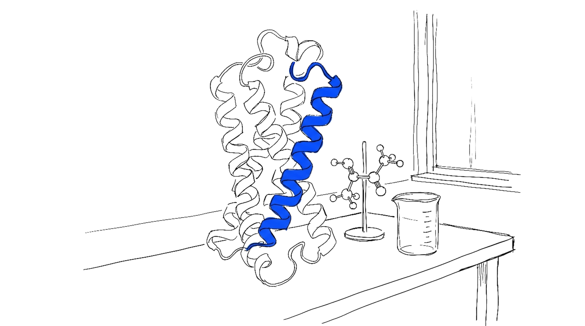 Handgezeichnete Illustration eines blauen Proteinband-Modells auf einem Labortisch, kinewsletter.ch Stil